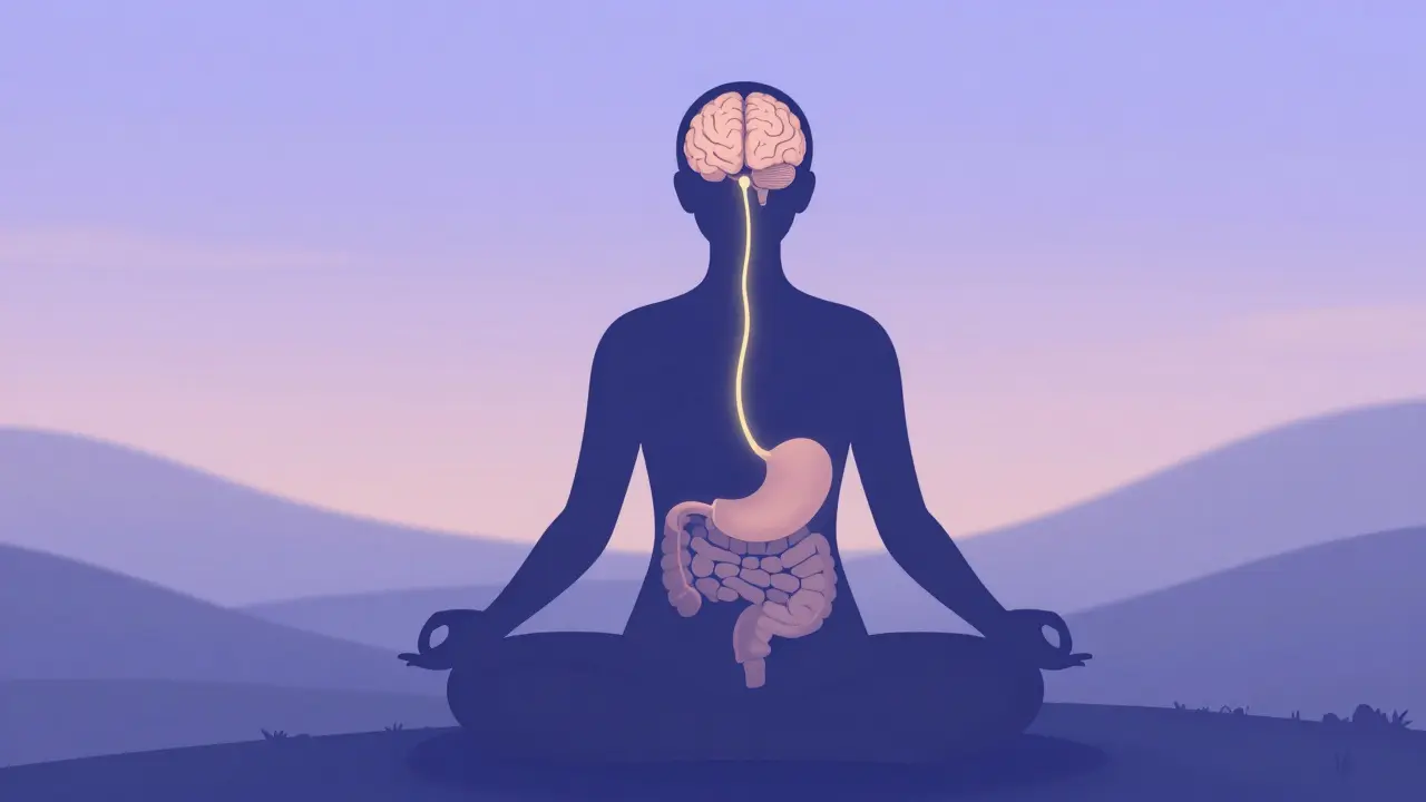 Koncept spojení mozku a střev při meditaci